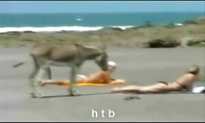 आदमी को छुआ puffy भोजपुरी फिल्म सेक्स वीडियो nipples सुनहरे बालों वाली पतली