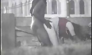 लानत है, कमबख्त, बिल्ली सेक्सी फिल्म वीडियो भोजपुरी